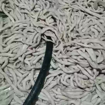 羊肠熟羊肠无水纯干厂家直销