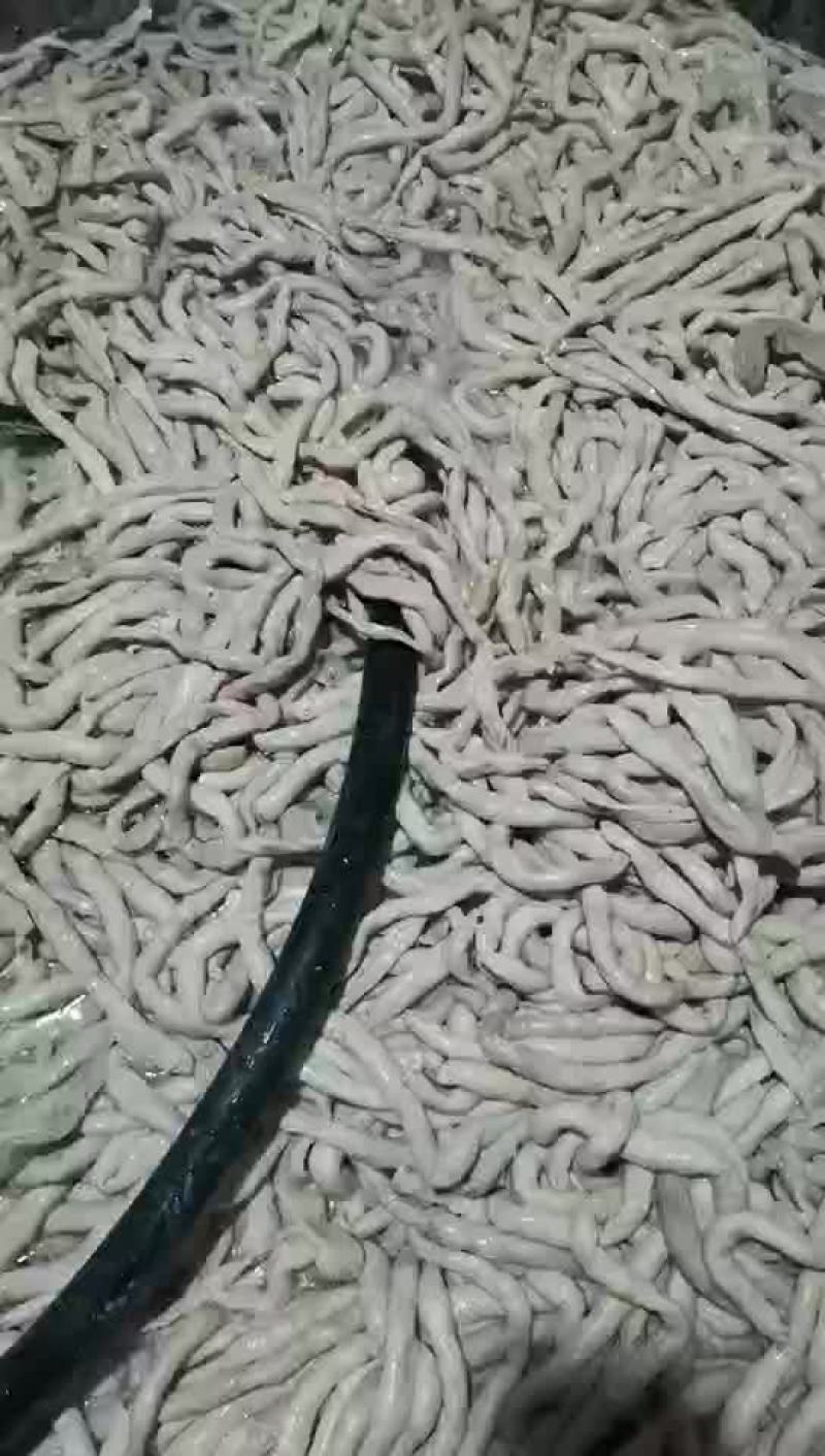 羊肠熟羊肠无水纯干厂家直销