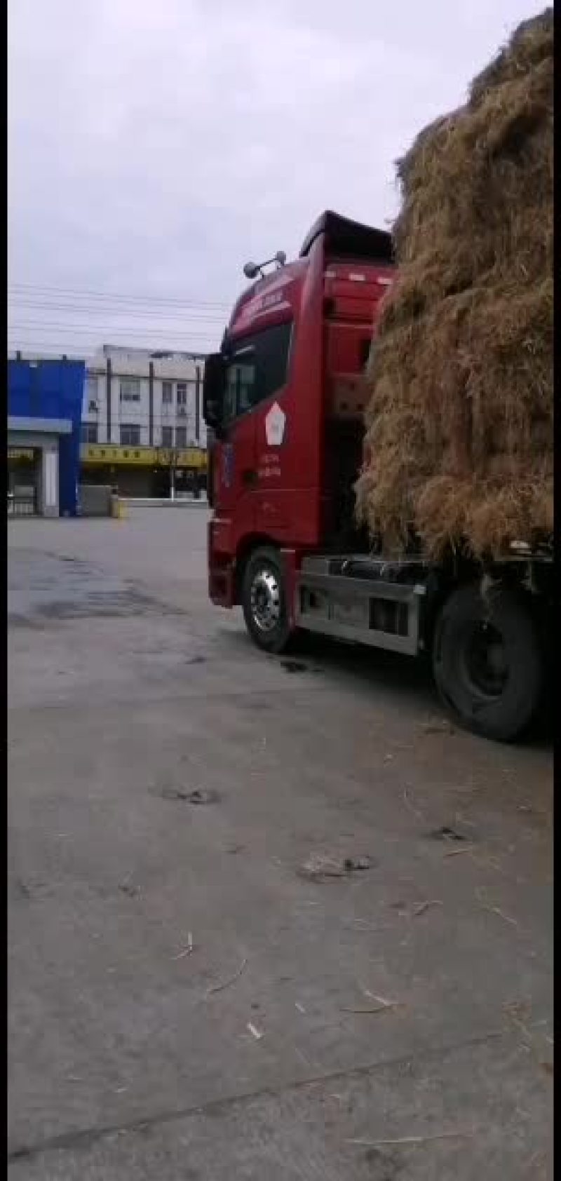稻草。愿有缘有运的牛老板牛气冲！！！！！！！！！！天。