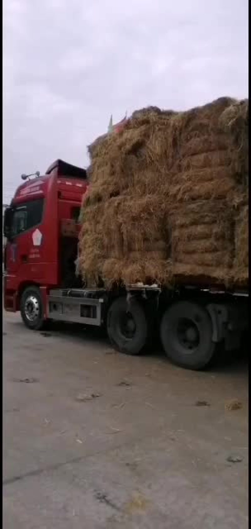 稻草。愿有缘有运的牛老板牛气冲！！！！！！！！！！天。