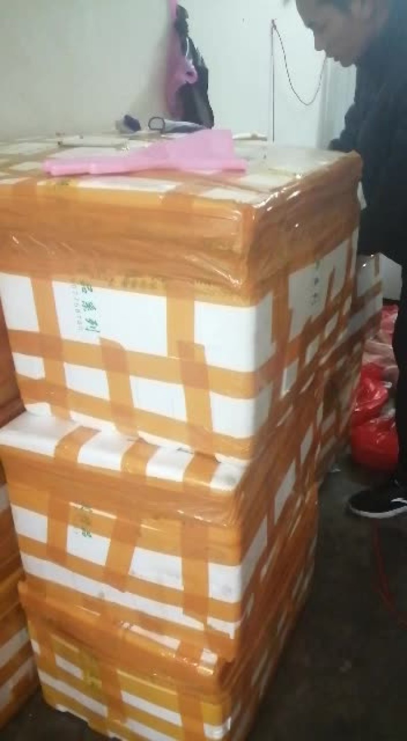 发货板油和肥膘1吨货，货源充足，欢迎联系，生鲜不退换