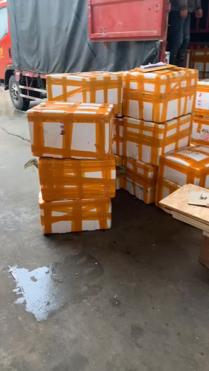 产地直供潜江小龙虾世界共享！质量保证欢迎采购