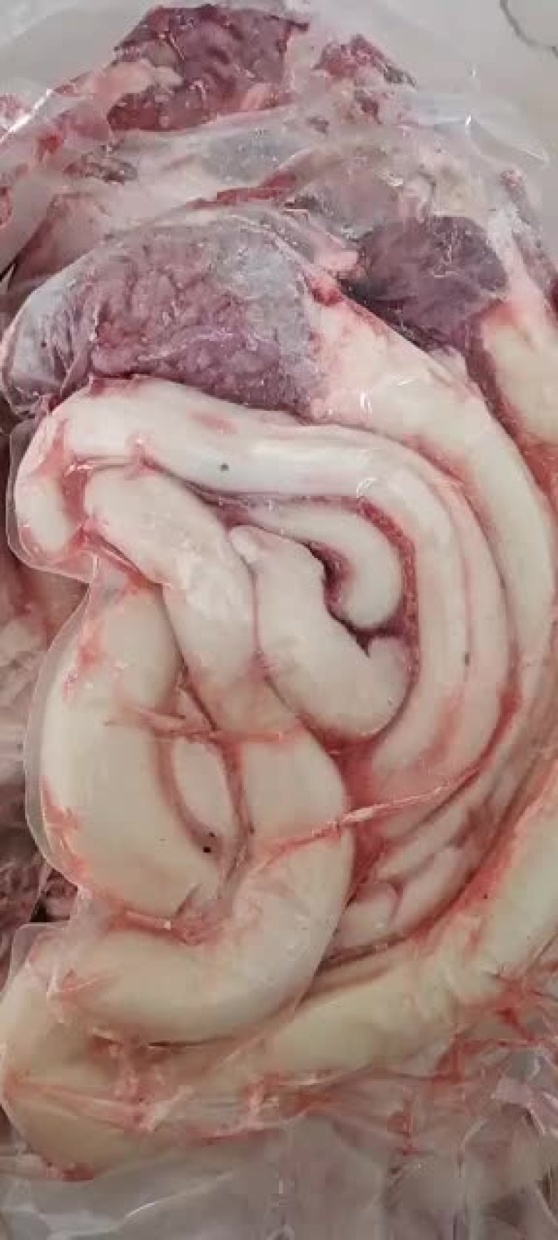 纯干国产牛鞭，现货批发