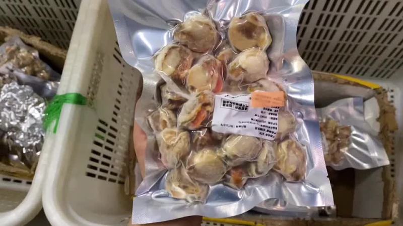扇贝肉冻扇贝肉一袋40斤无冰全国代发货