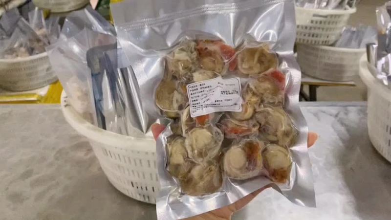 扇贝肉冻扇贝肉一袋40斤无冰全国代发货
