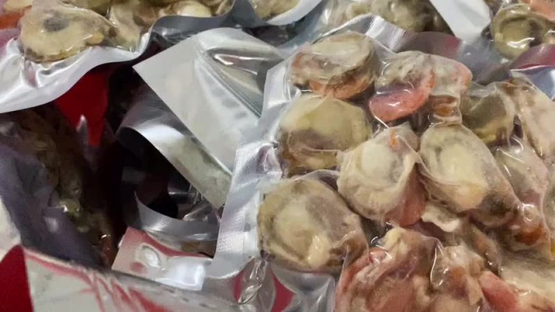 扇贝肉冻扇贝肉一袋40斤无冰全国代发货