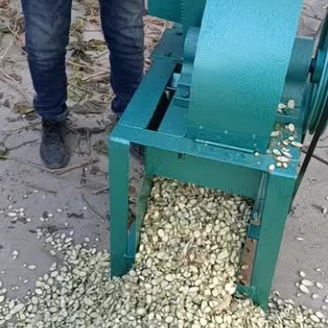 优质桑枝片大量供货，足浴包！