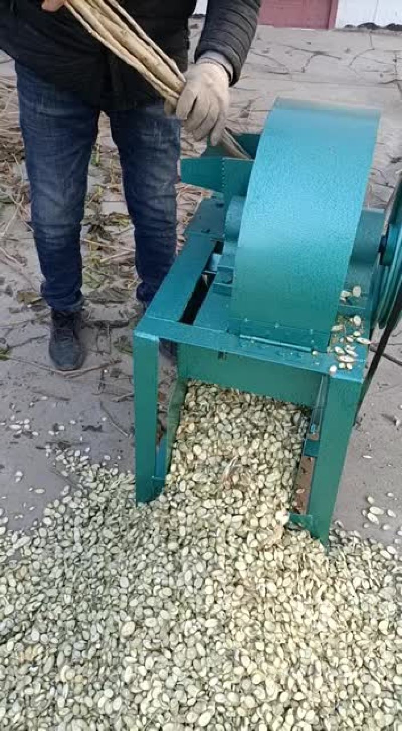 优质桑枝片大量供货，足浴包！
