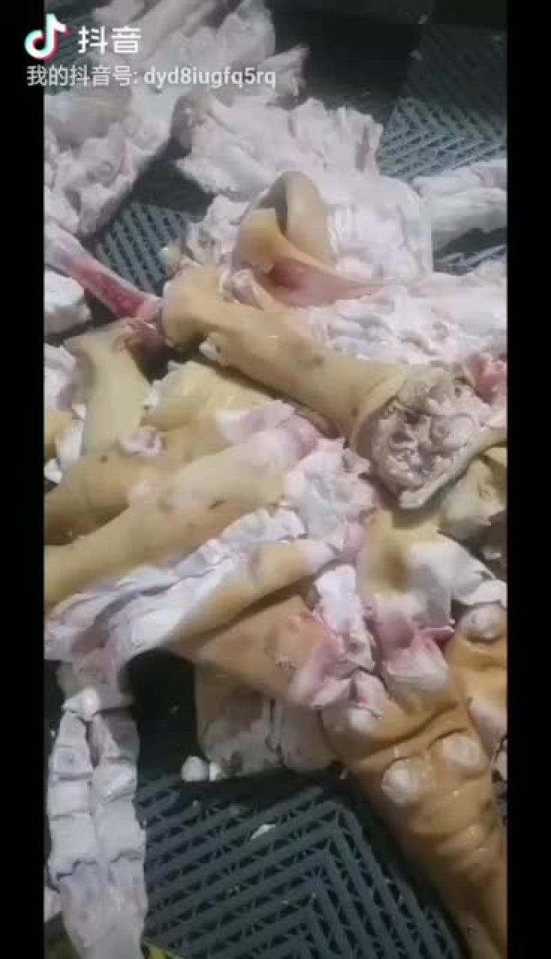 全去骨牛蹄质量保证公牛品质牛副产品