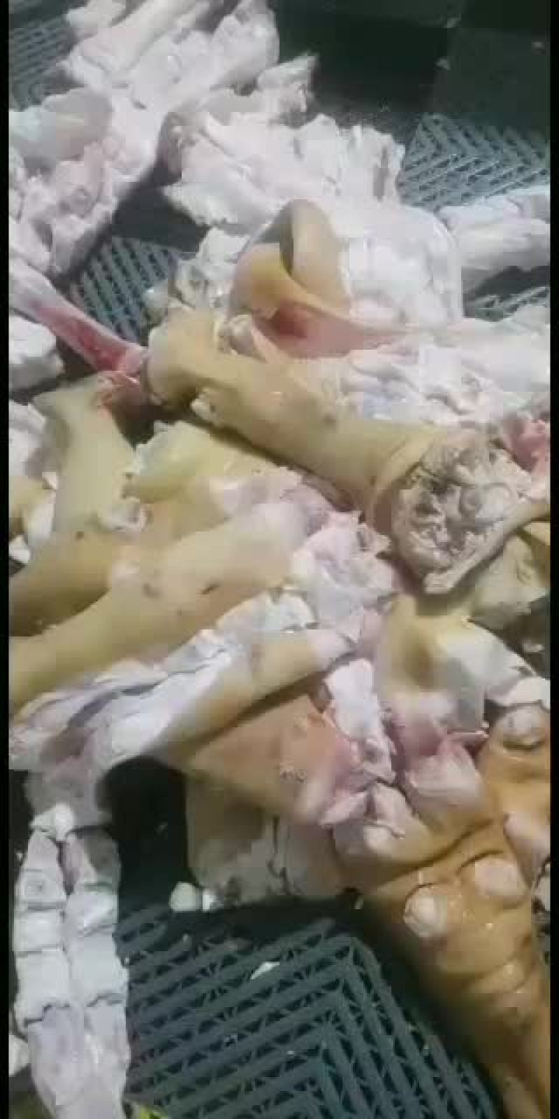 全去骨牛蹄质量保证公牛品质牛副产品