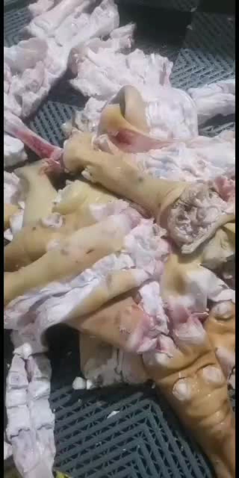 全去骨牛蹄质量保证公牛品质牛副产品