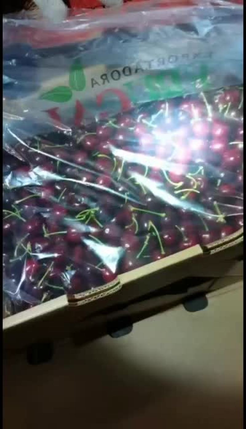 智利海运车厘子新鲜樱桃