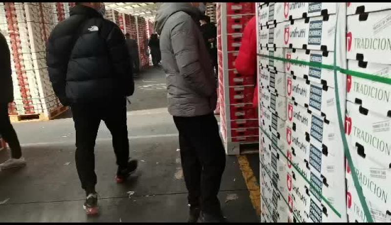 智利海运车厘子新鲜樱桃