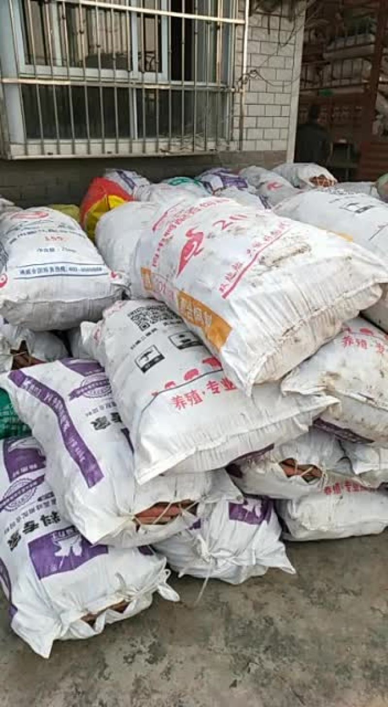 简阳胡萝卜大量上市啦！