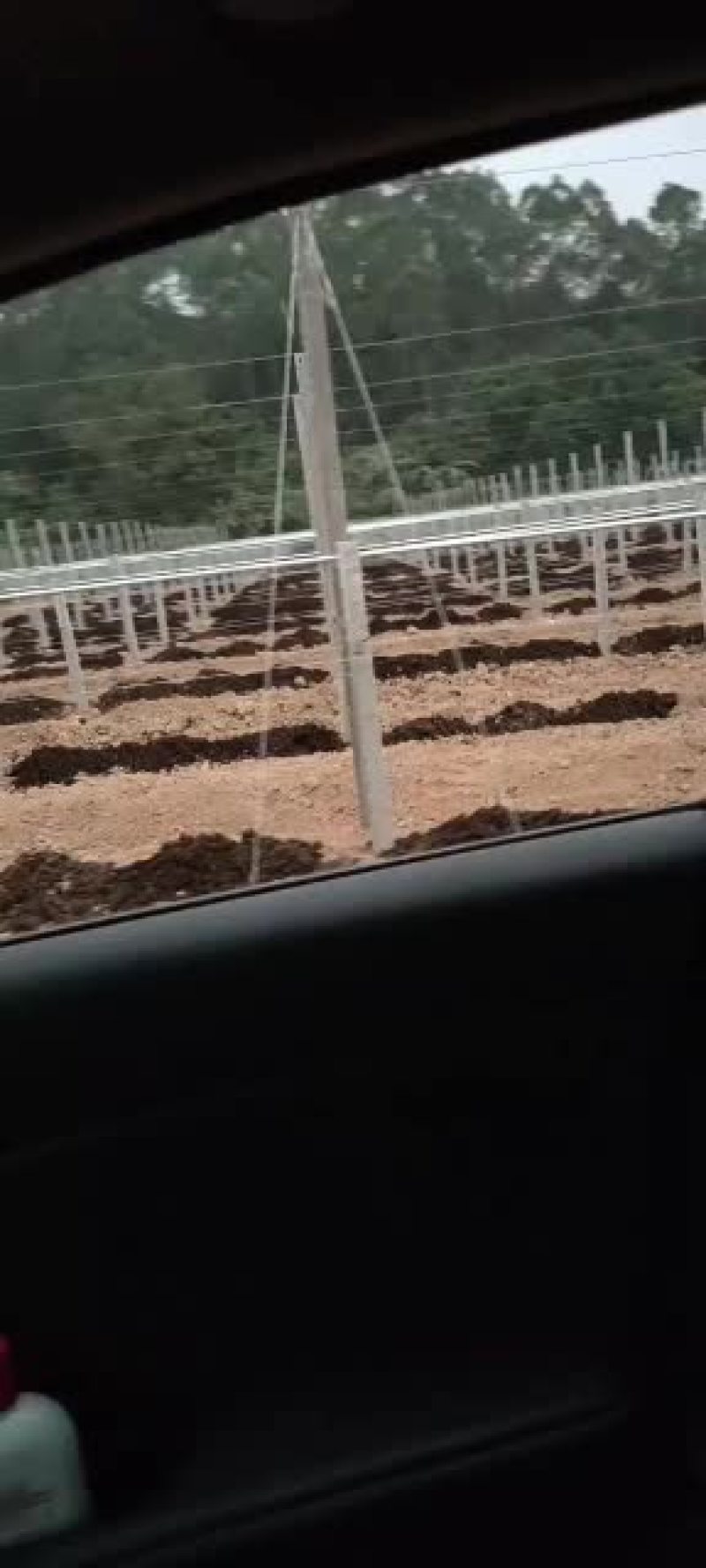 专业搭建火龙果架！葡萄避雨棚！百香果架子全国可上门服务！