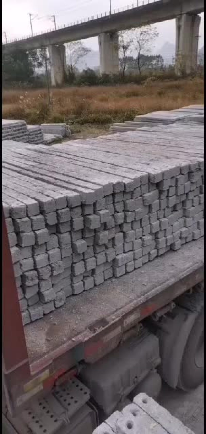 专业搭建火龙果架！葡萄避雨棚！百香果架子全国可上门服务！