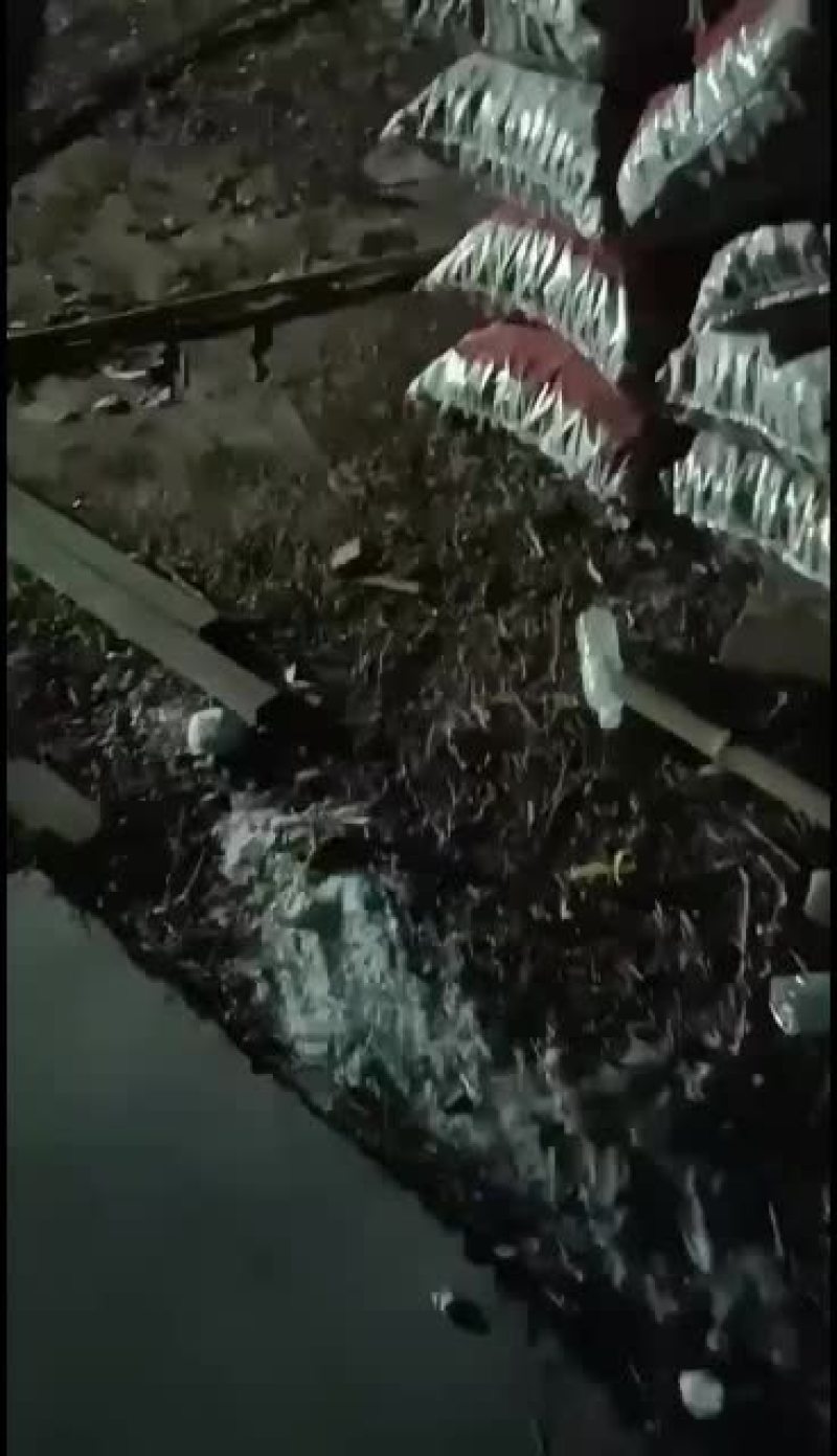 马上备年货了33核桃幸福核桃
