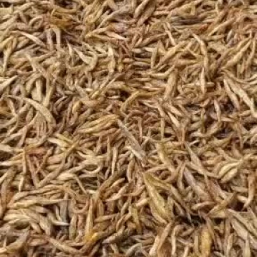 原生态饮用水库小黄鱼