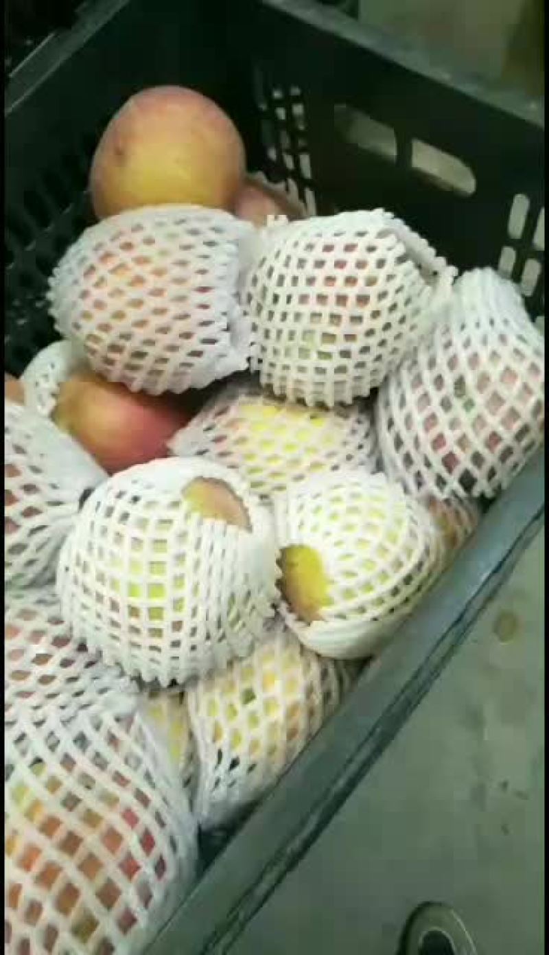 海量批发阿克苏苹果次果