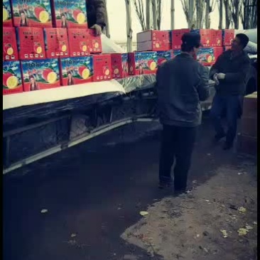 海量批发阿克苏苹果次果