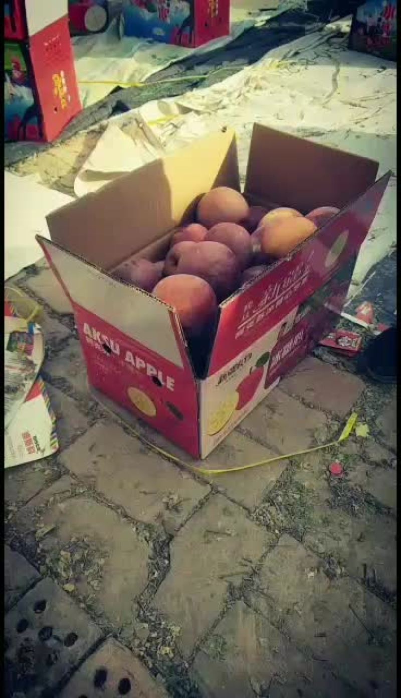 海量批发阿克苏苹果高次果