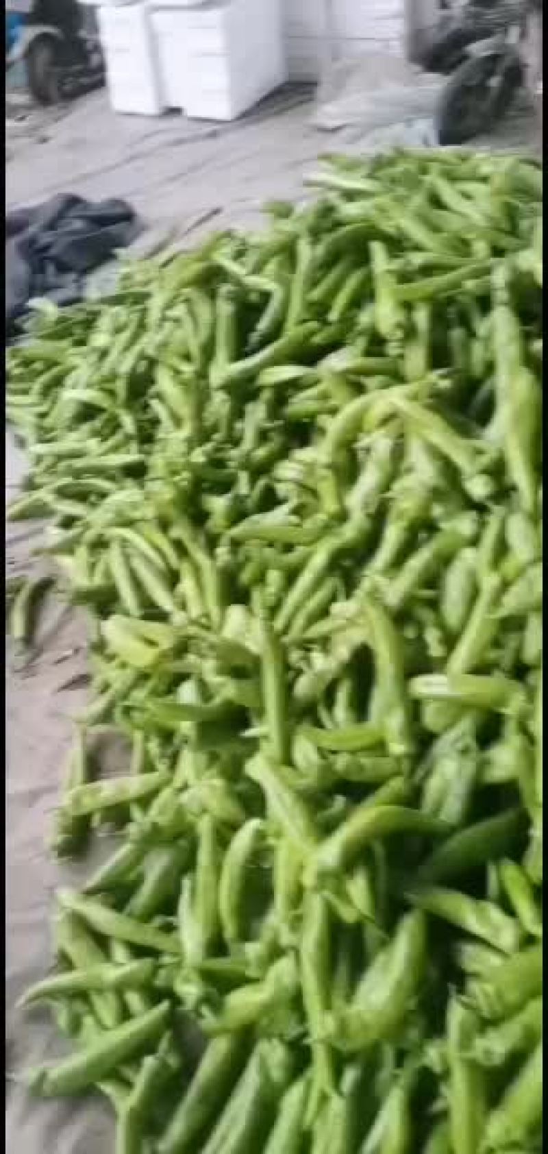 精品尖椒，黄皮尖椒，量大质优，货源充足，精品包装