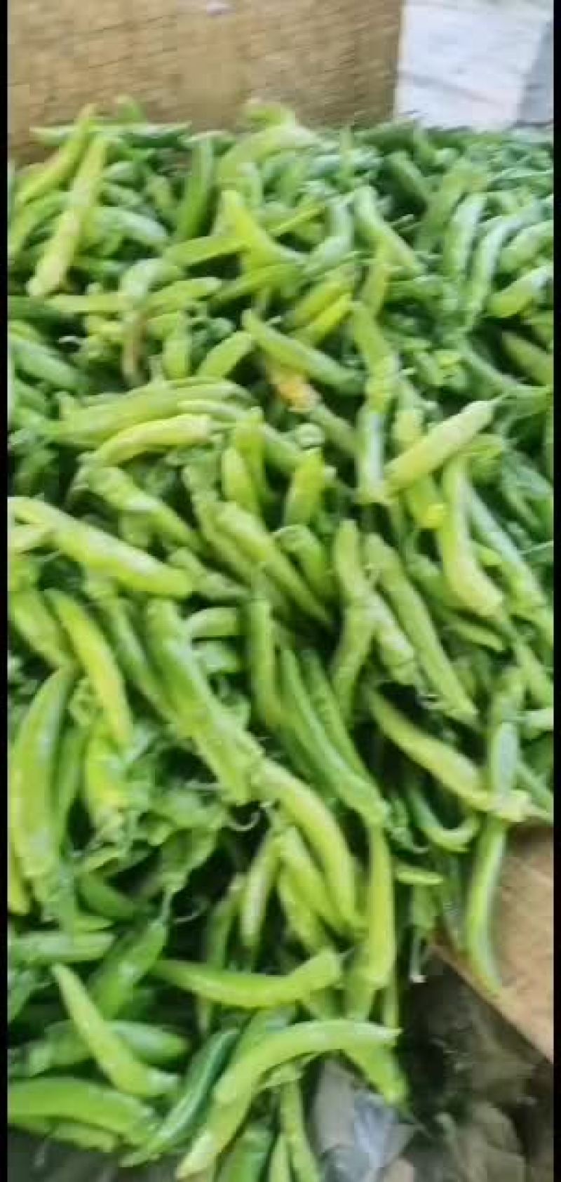 精品尖椒，黄皮尖椒，量大质优，货源充足，精品包装