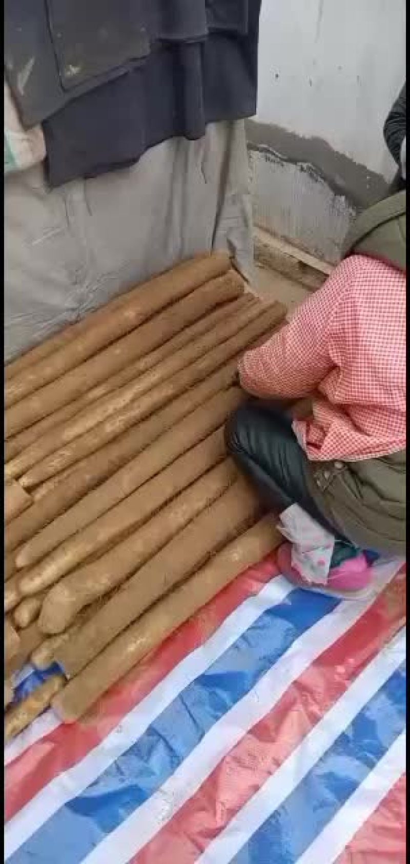 九斤黄山药，大量走货