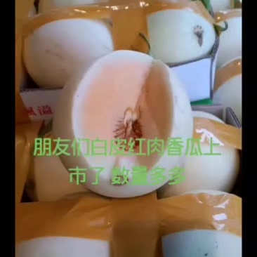 白皮红肉青甜可口果面清爽