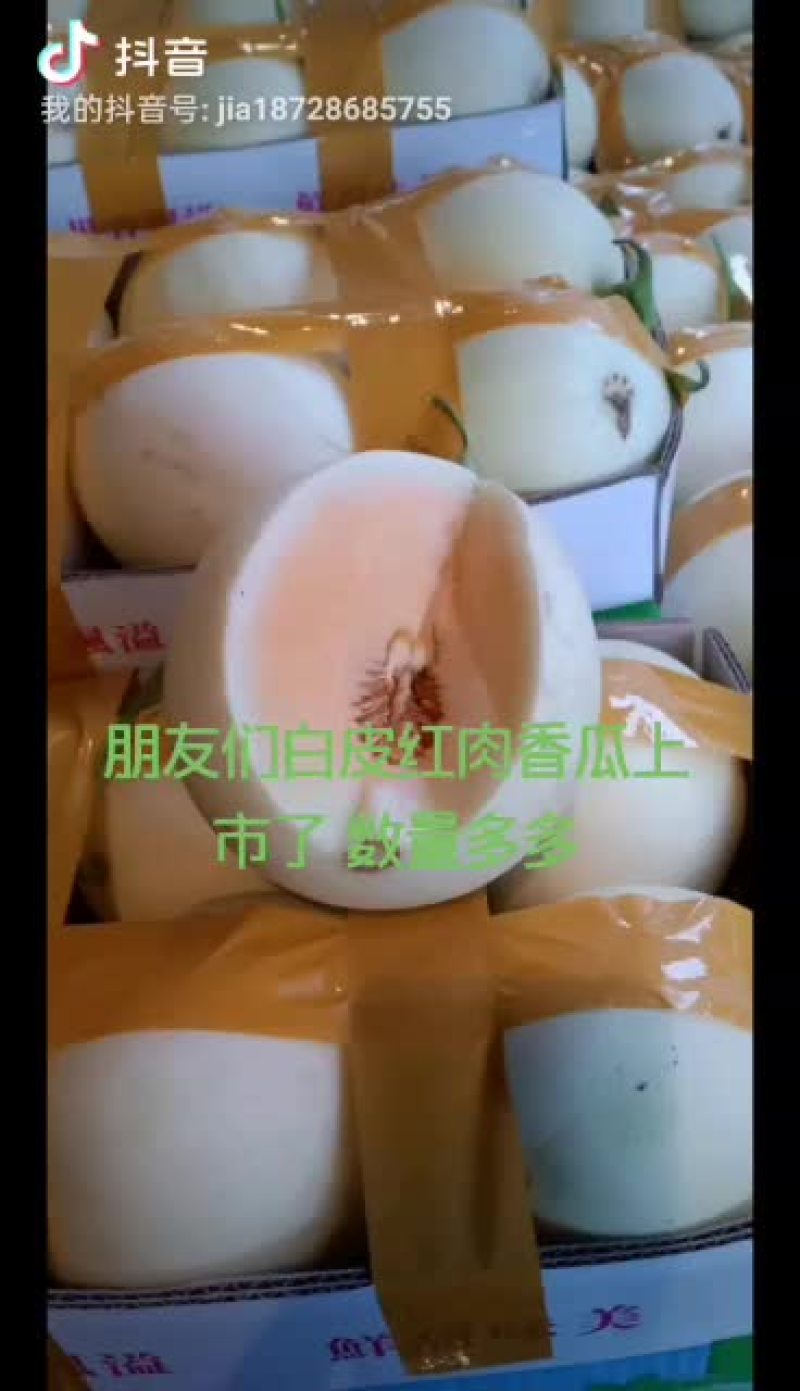 白皮红肉青甜可口果面清爽