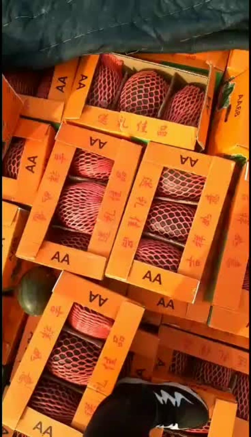 越南黑美人微商市场专用