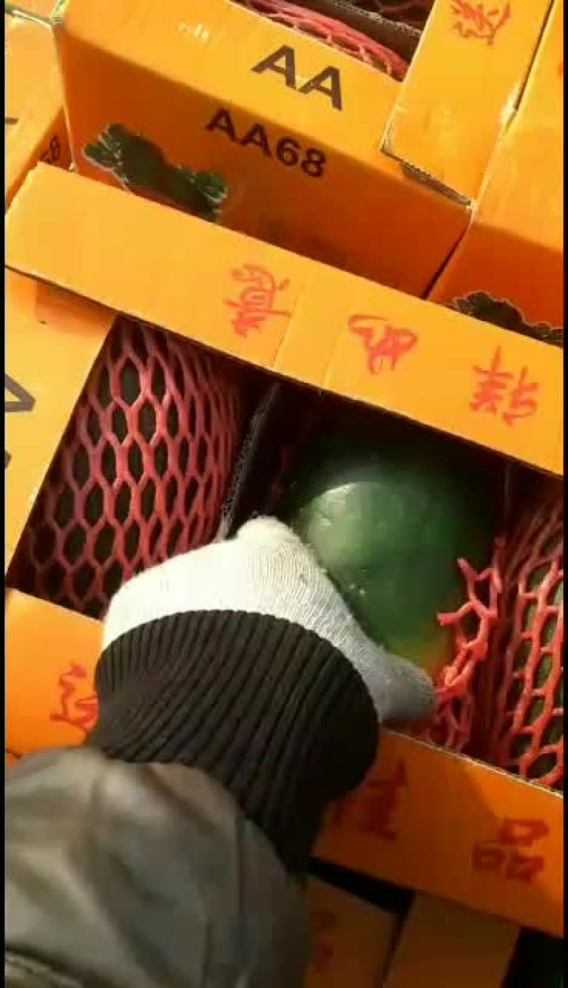越南黑美人微商市场专用