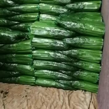 西芹优质，75公分左右
