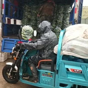 各种蔬菜，如有需要请与我联系