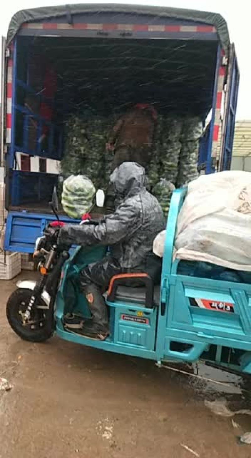 各种蔬菜，如有需要请与我联系