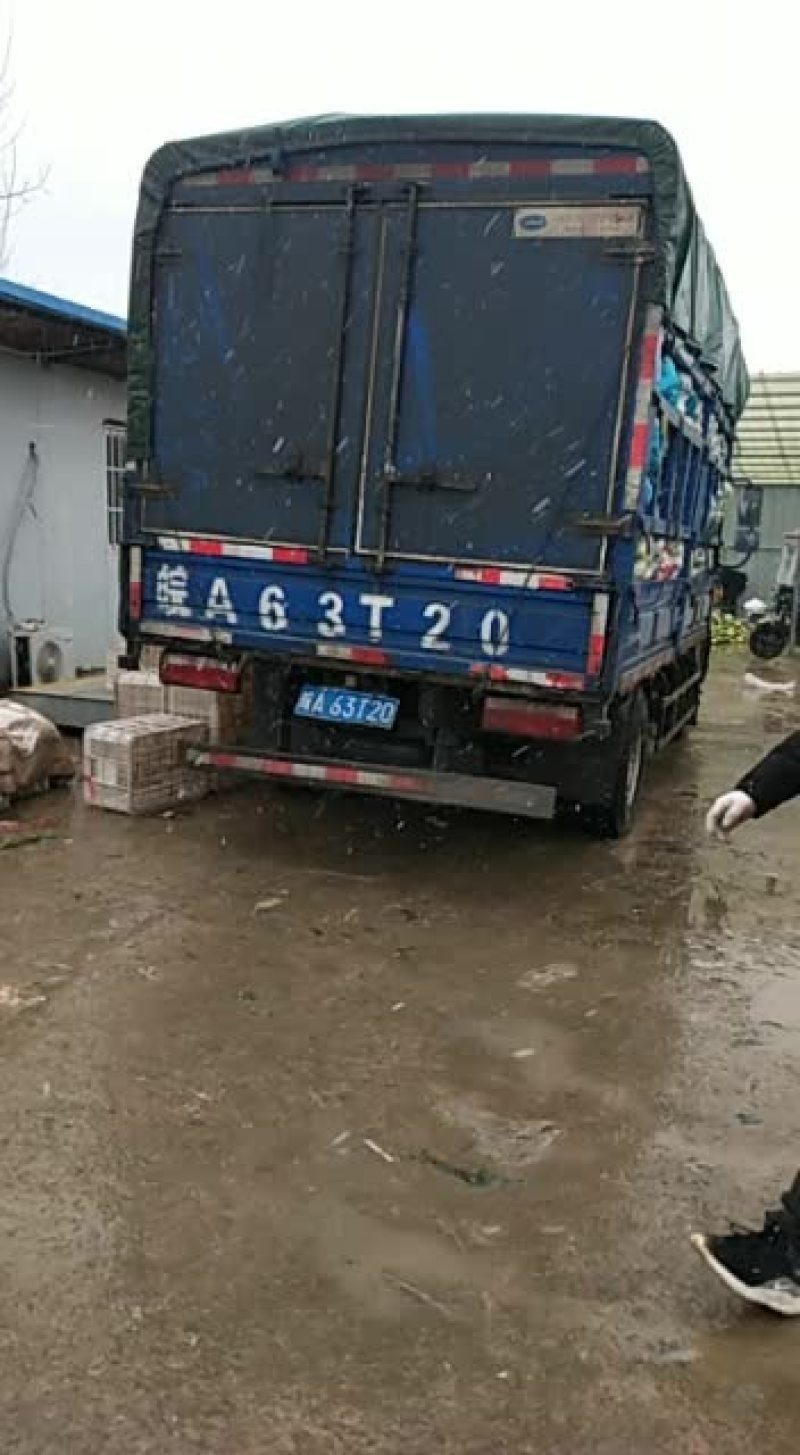各种蔬菜，如有需要请与我联系