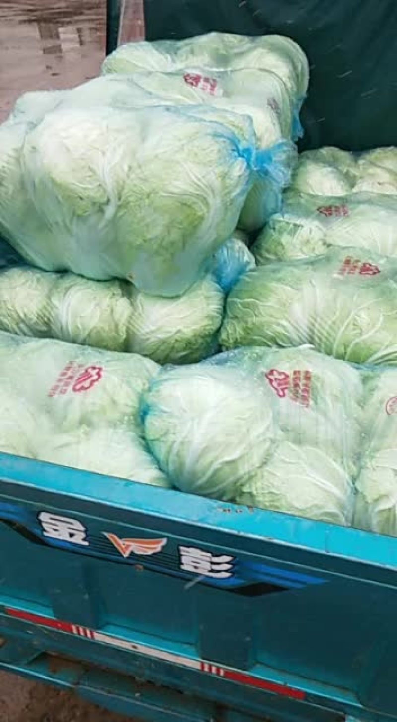 各种蔬菜，如有需要请与我联系