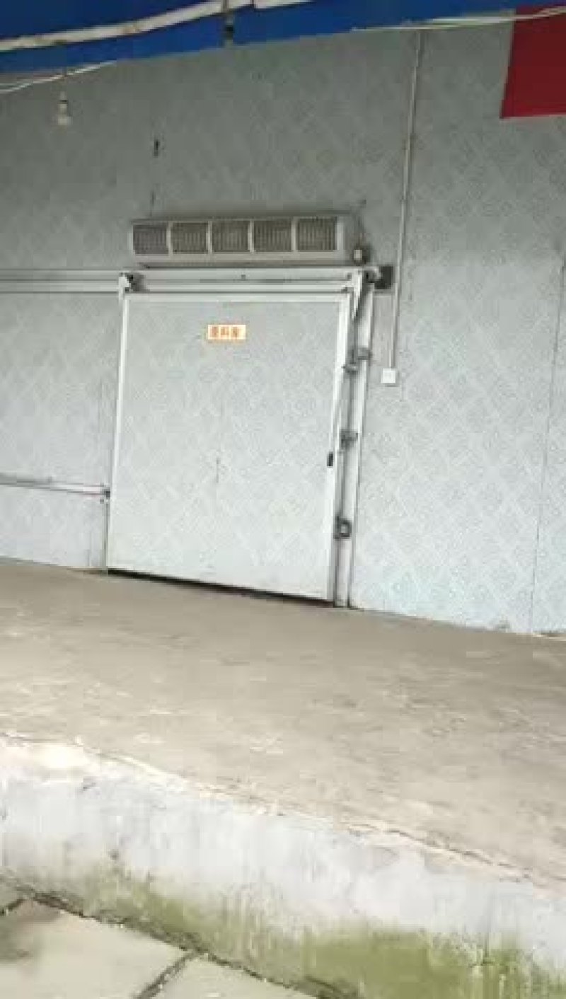 兔肉，冷鲜兔肉，白条兔肉，保鲜兔肉，兔头，一件也是批发价
