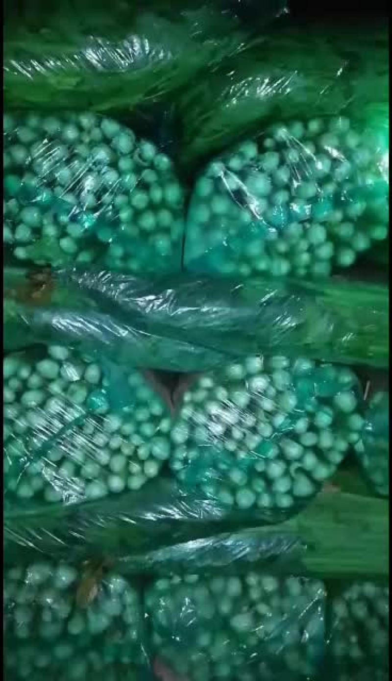 河北邯郸精品小芹菜大量有货