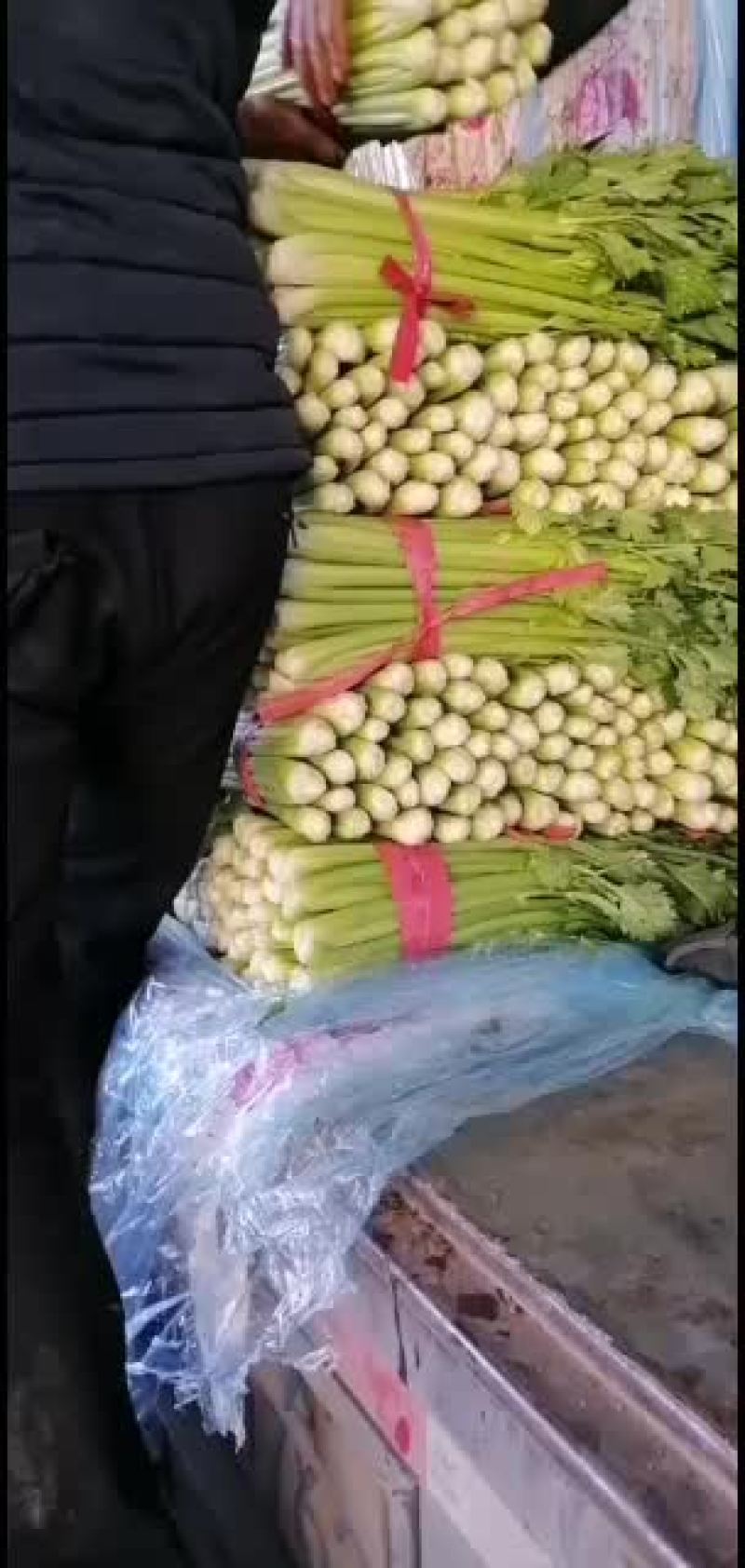 河北邯郸精品小芹菜大量有货