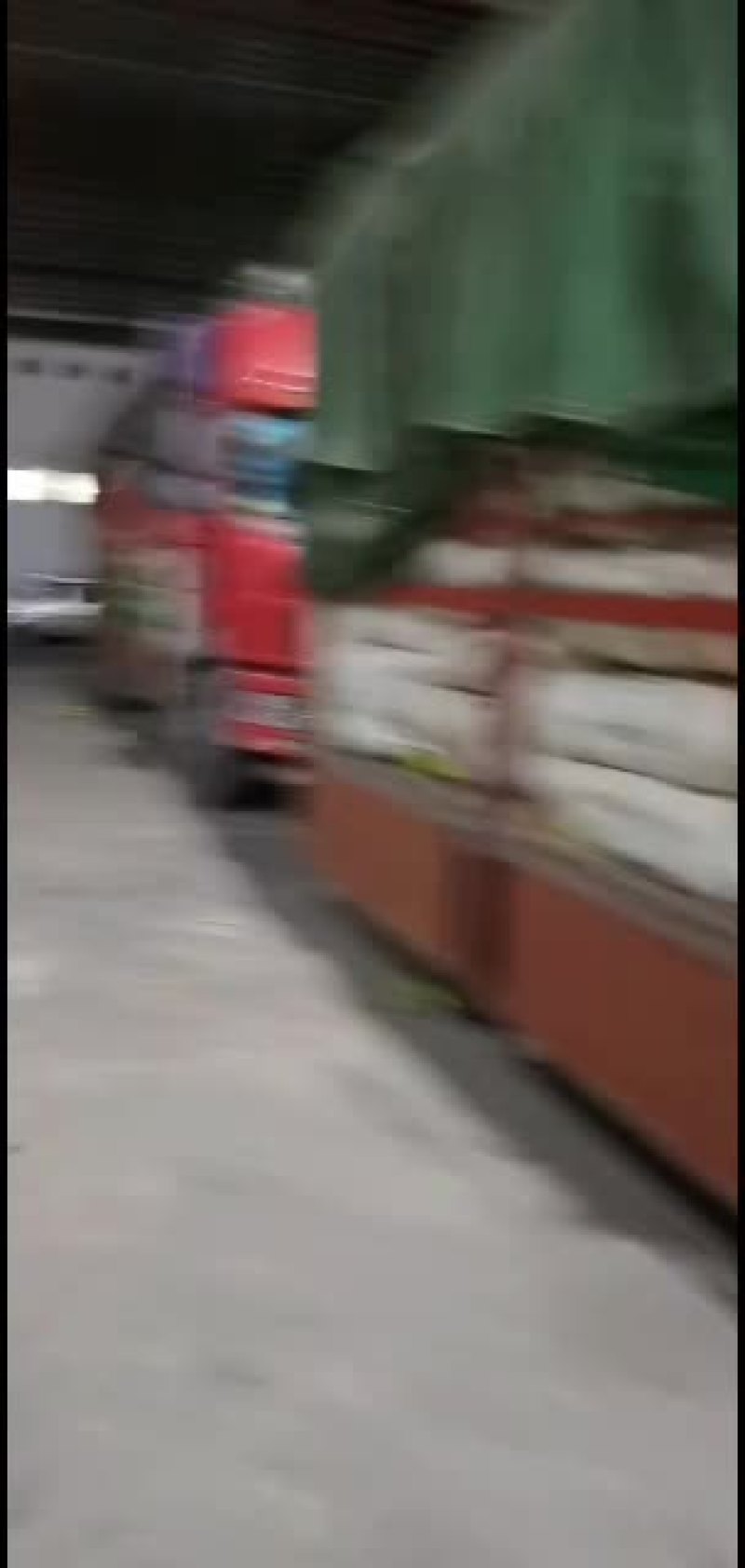 新鲜玉米上市价格合质量很好