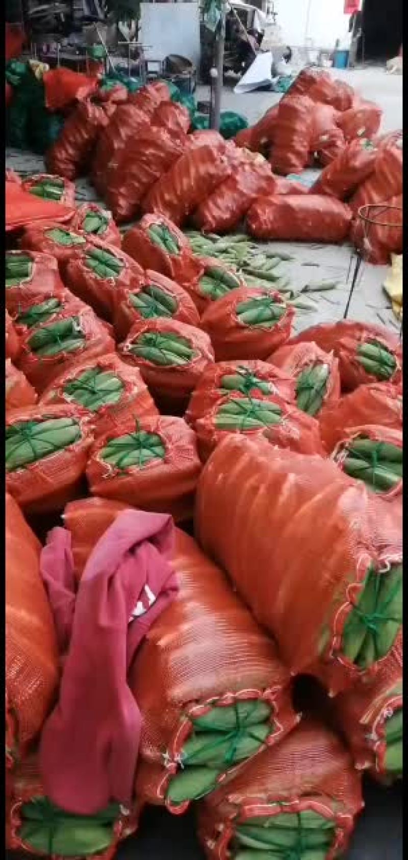 新鲜玉米上市价格合质量很好