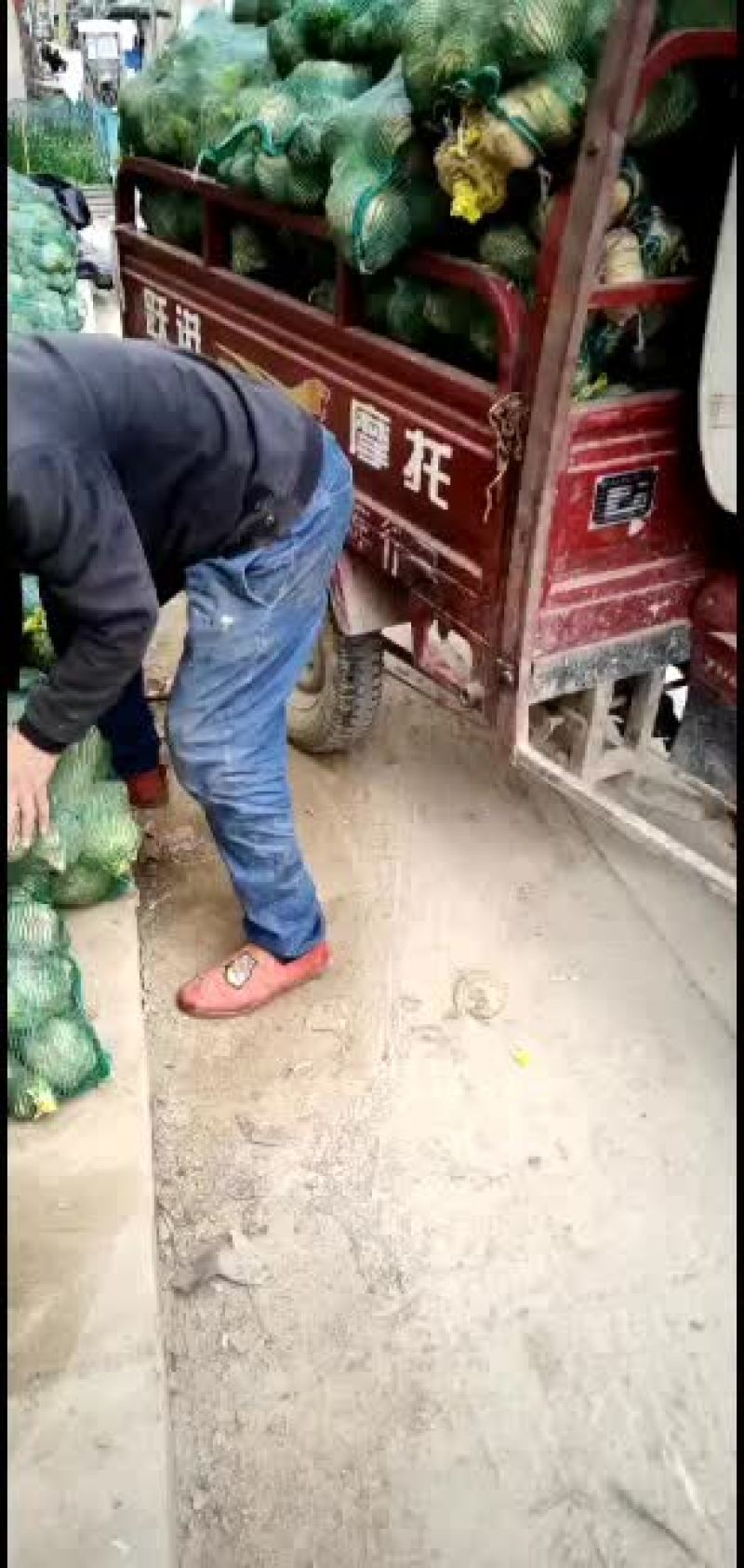 有需要芥菜联系我，个头大一斤重以上的，质量有保证，不花心