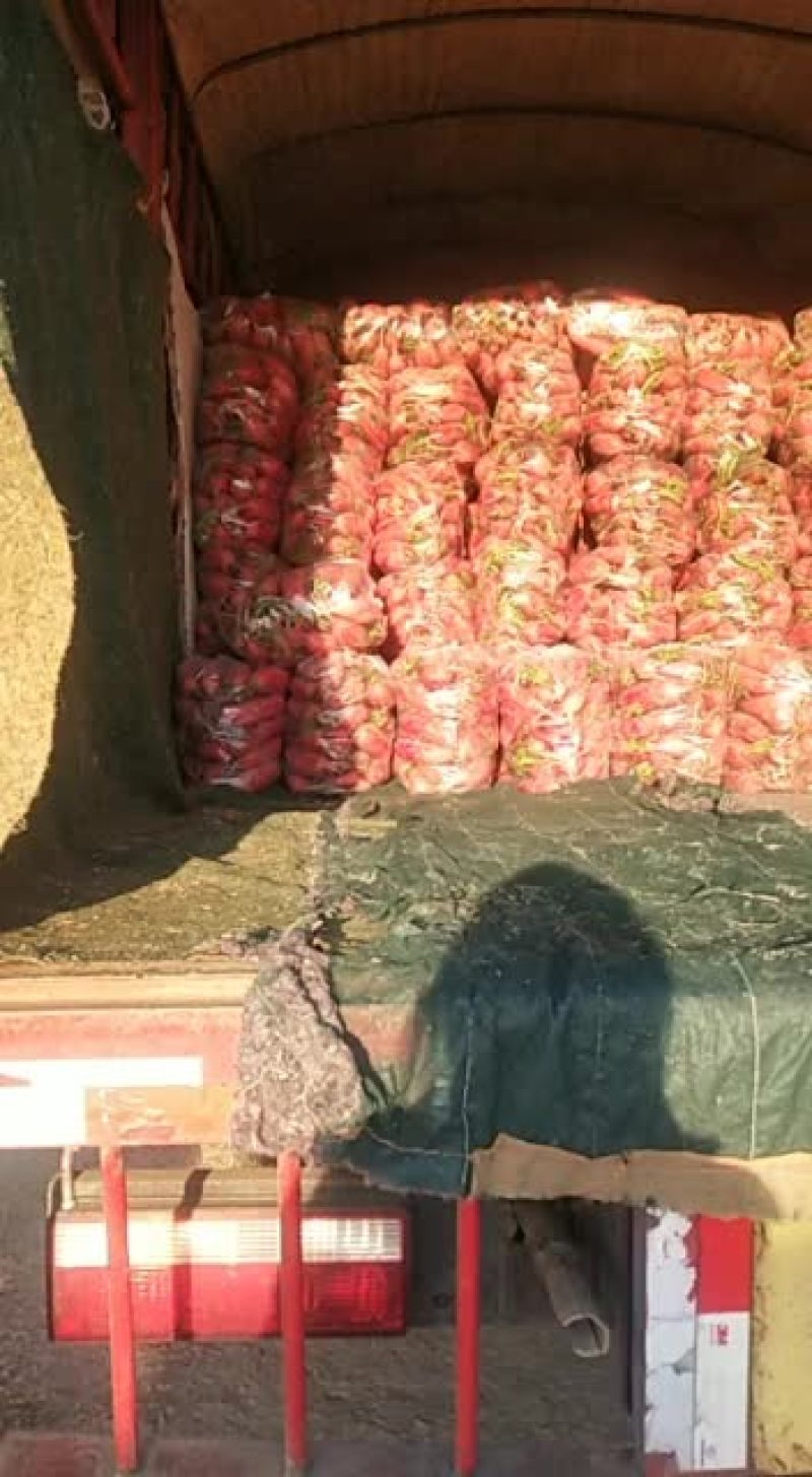 各种蔬菜，需要的请与联系