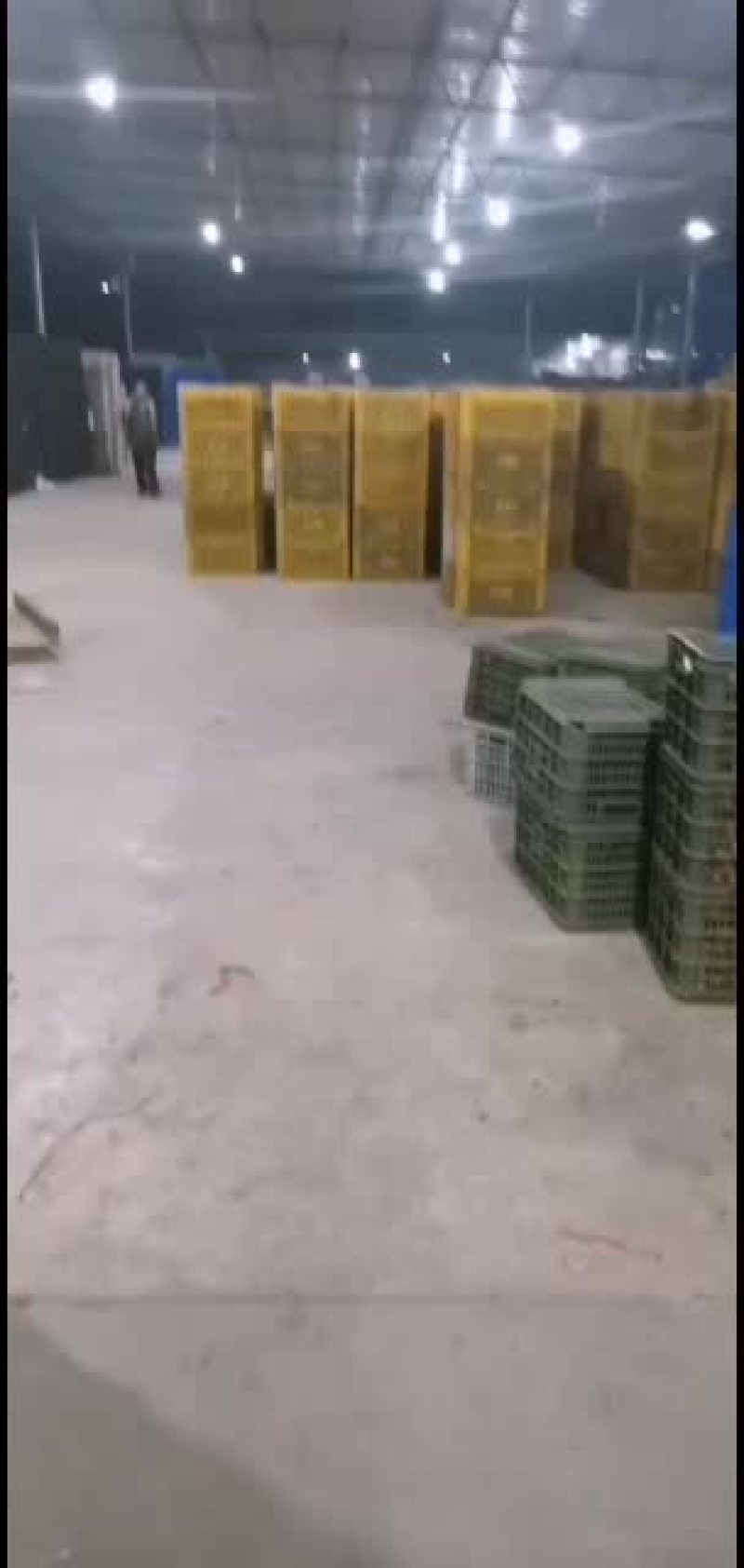 广西砂糖橘价格美丽7毛到1.6