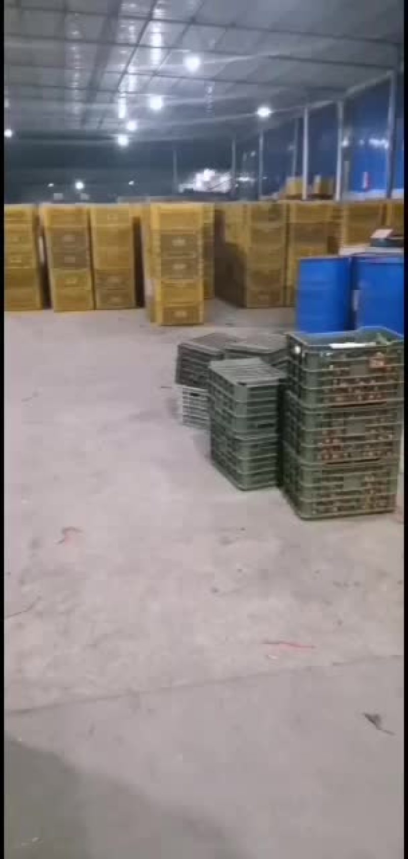 广西砂糖橘价格美丽7毛到1.6