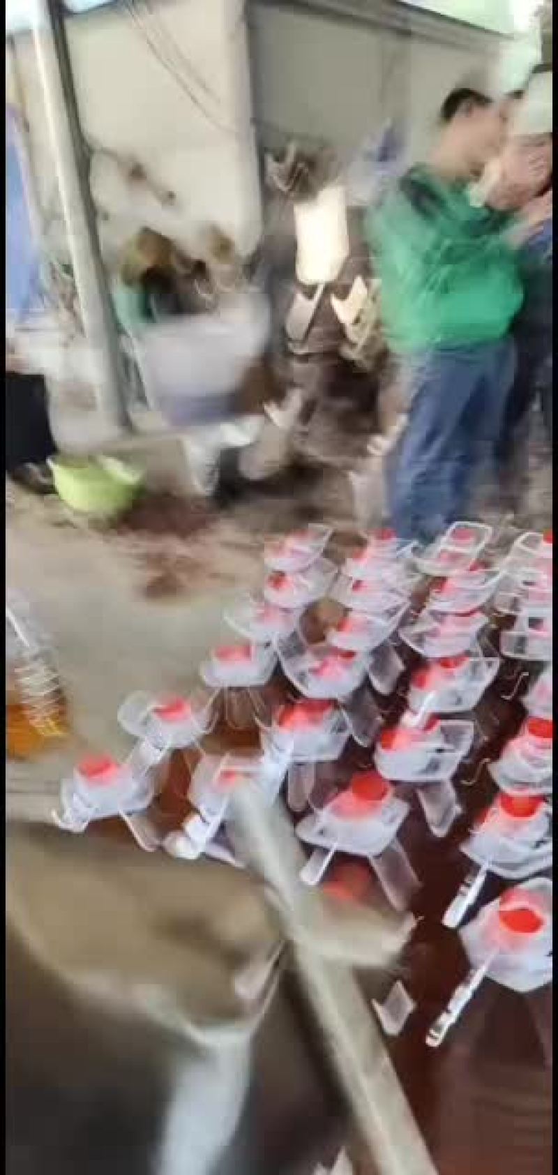 茶籽油大量批发需要的老板联系我