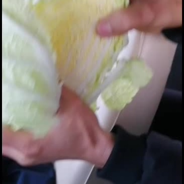 精品大白菜要的快联系