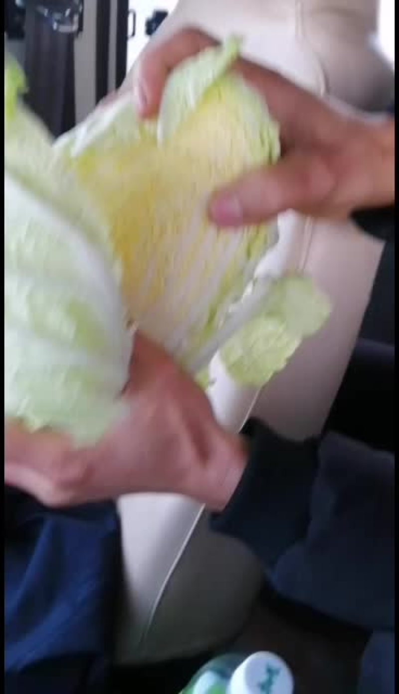精品大白菜要的快联系
