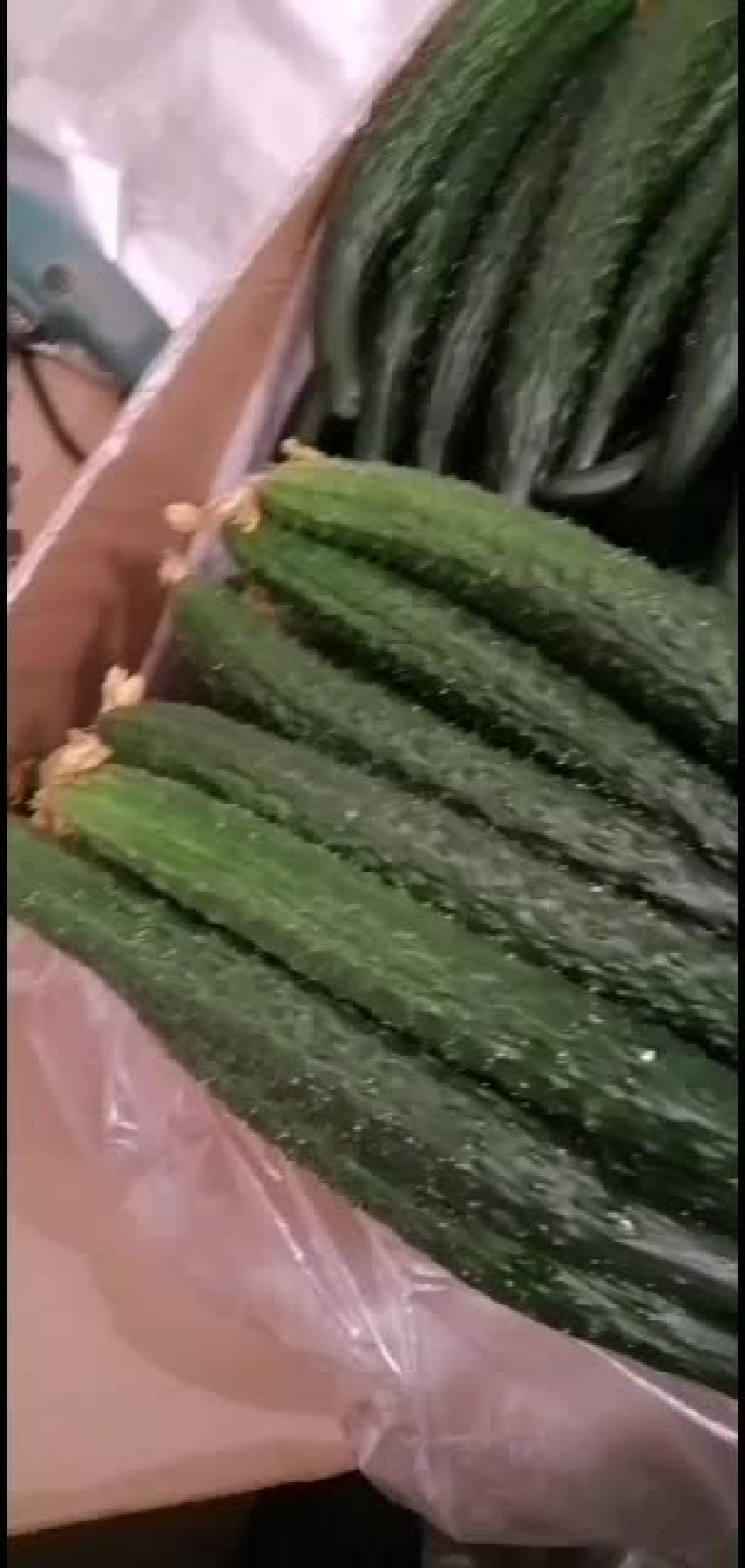 产地直销大量有货有意联系